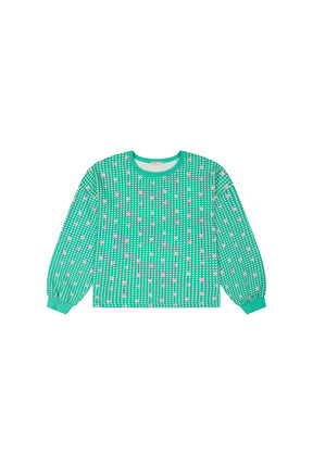 100% Organic Cotton Sweatshirt - Green Gingham Hearts